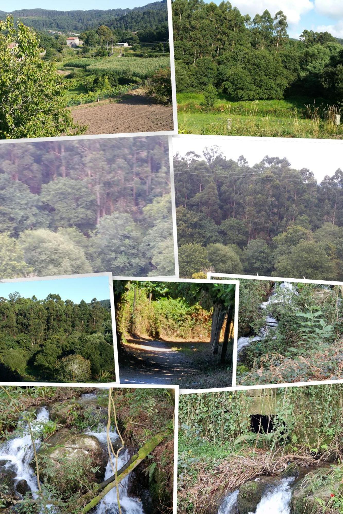 Villa Campo Das Medas , En Medio De La Naturaleza Con Piscina Privada De Sal Gondomar Eksteriør bilde